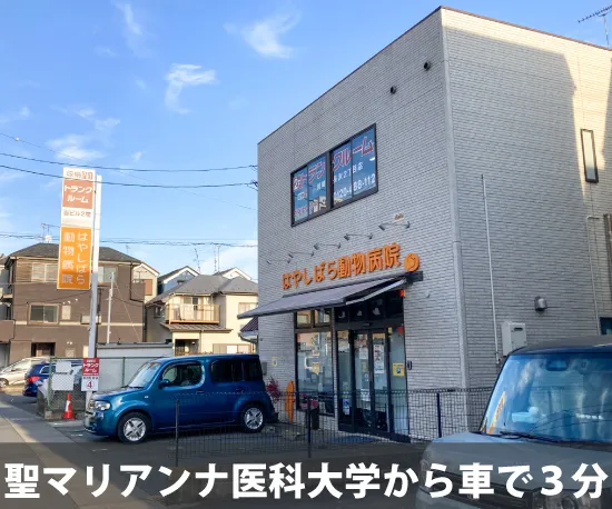 収納ピット 川崎長沢2丁目店 内観